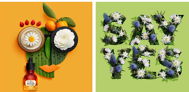 Vegan-Vegetarian-header-img4.jpg