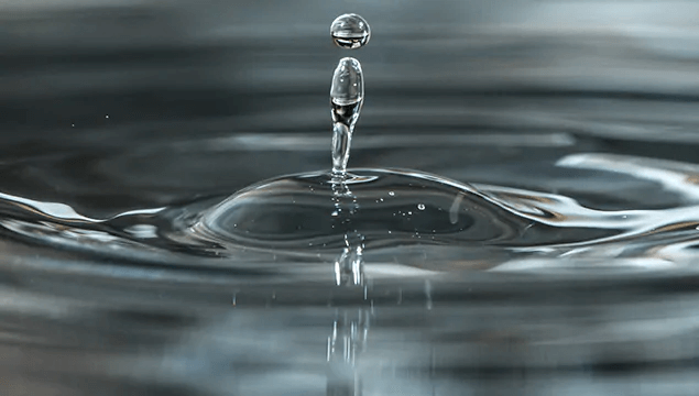 REDUCING OUR ENVIRONMENTAL FOOTPRINT