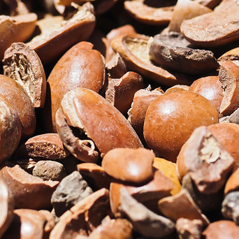 ប្រេង Argan