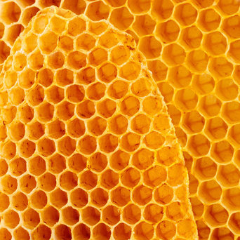 BEESWAX អាជីវកម្មសហគមន៍ពីប្រទេសកាម៉េរូន