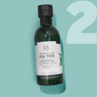 THE BENEFITS OF TEA TREE OIL
